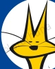 Gatto