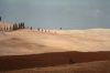 Terre d'Orcia